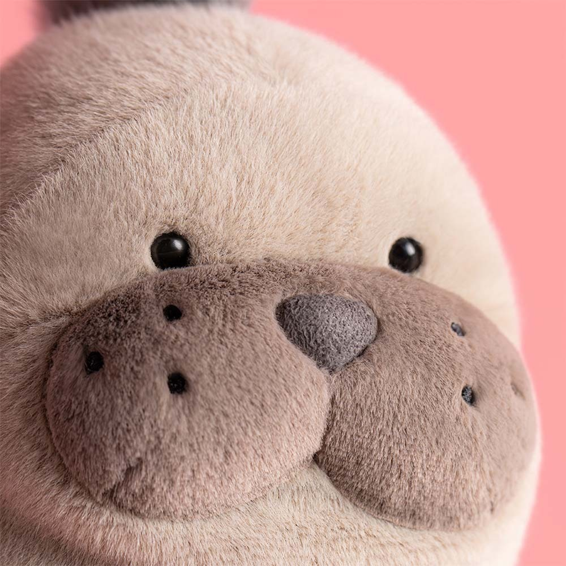 Roarwell Sea Lion | JELLYCAT