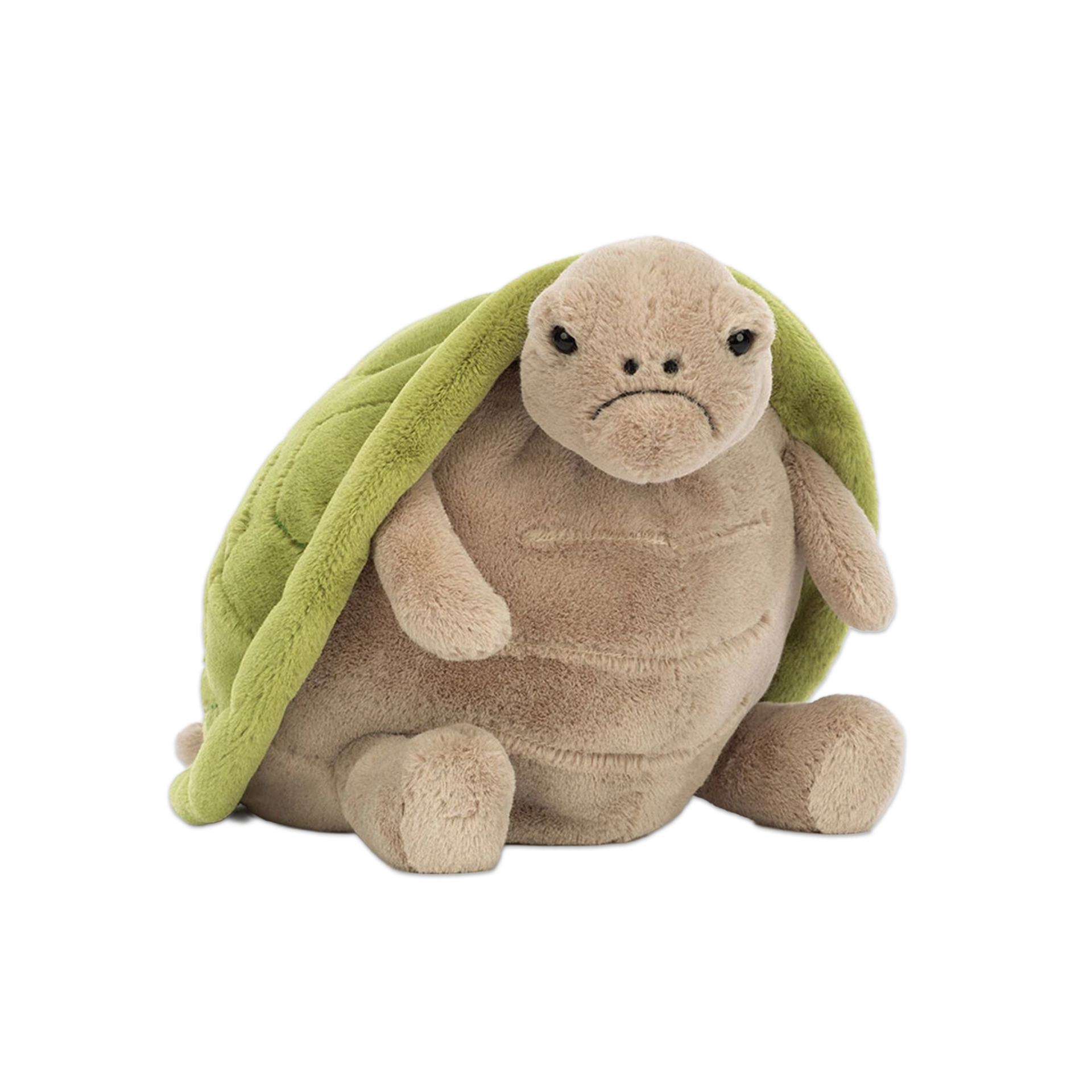 Timmy Turtle | JELLYCAT