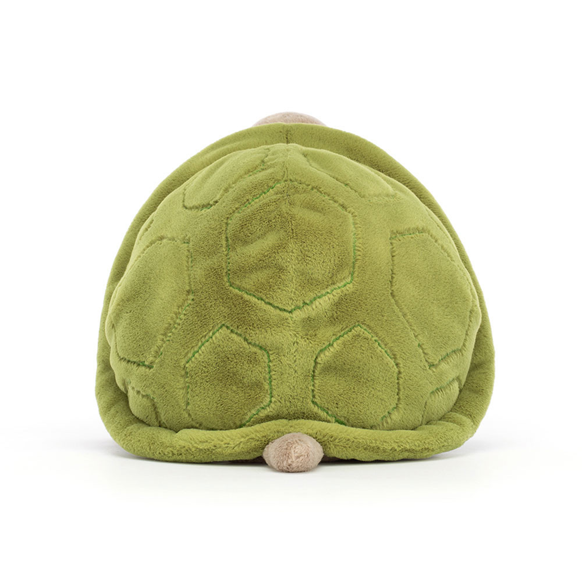 Timmy Turtle | JELLYCAT