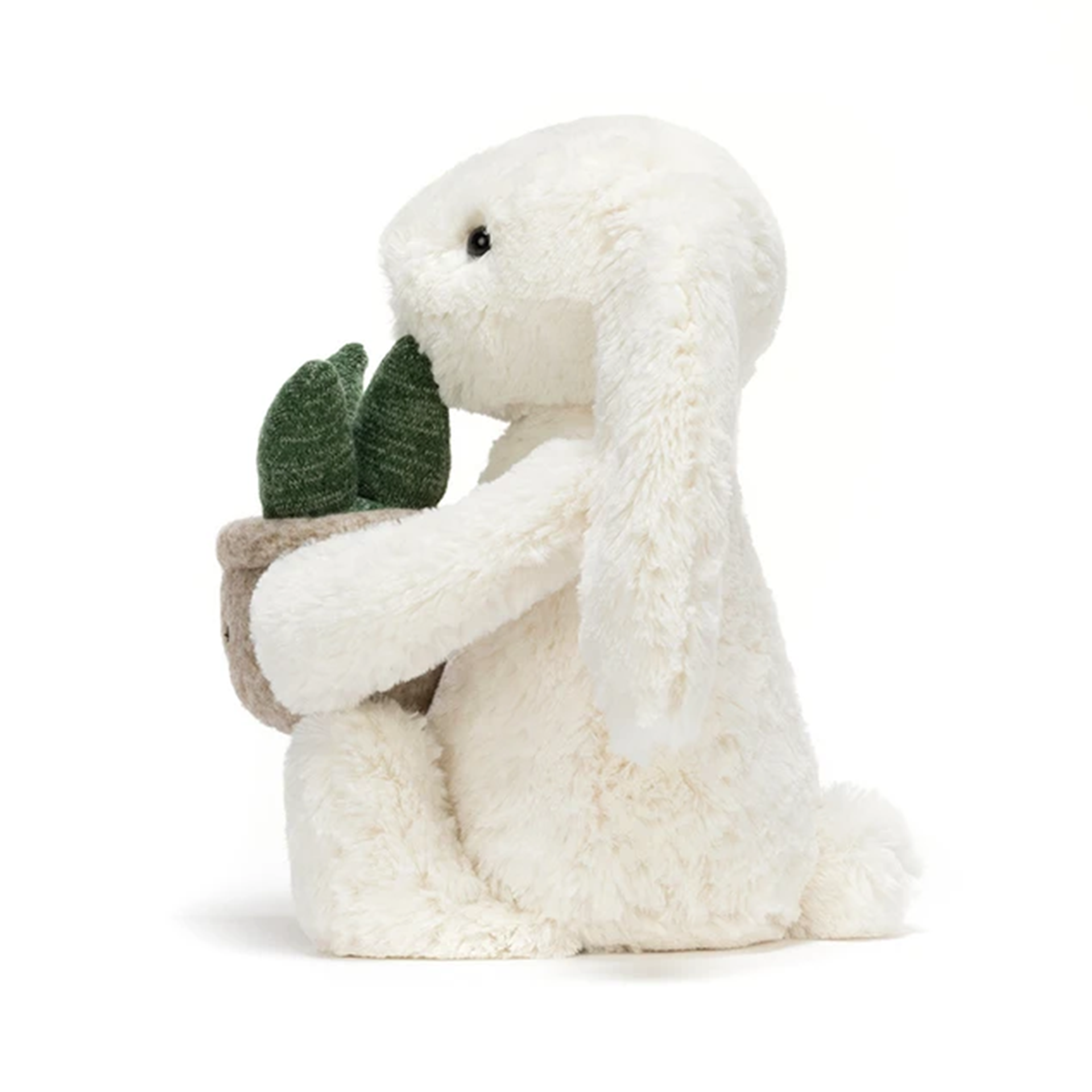 Cream Bunny mit Pflanze | JELLYCAT
