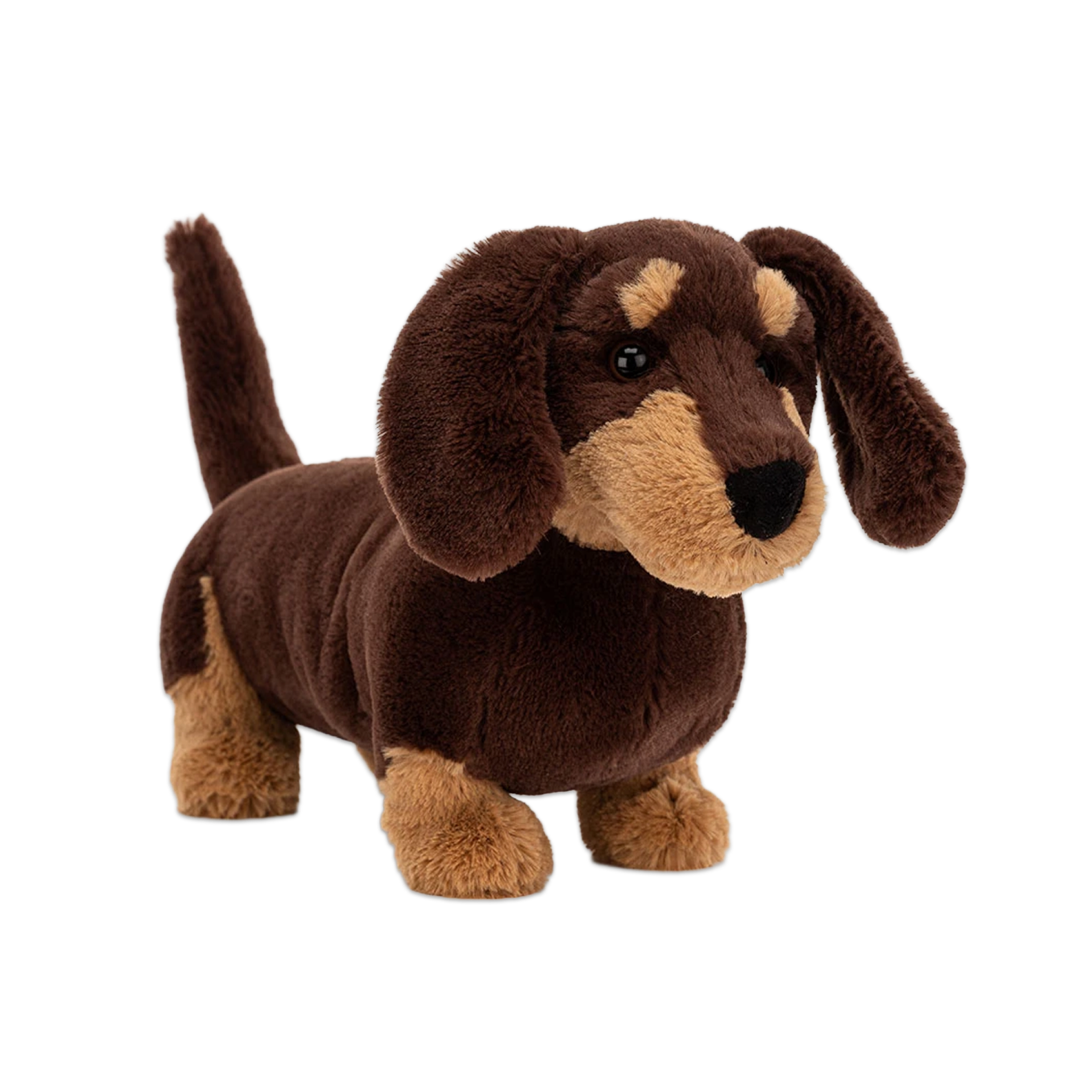 Otto Sausage Dog | JELLYCAT