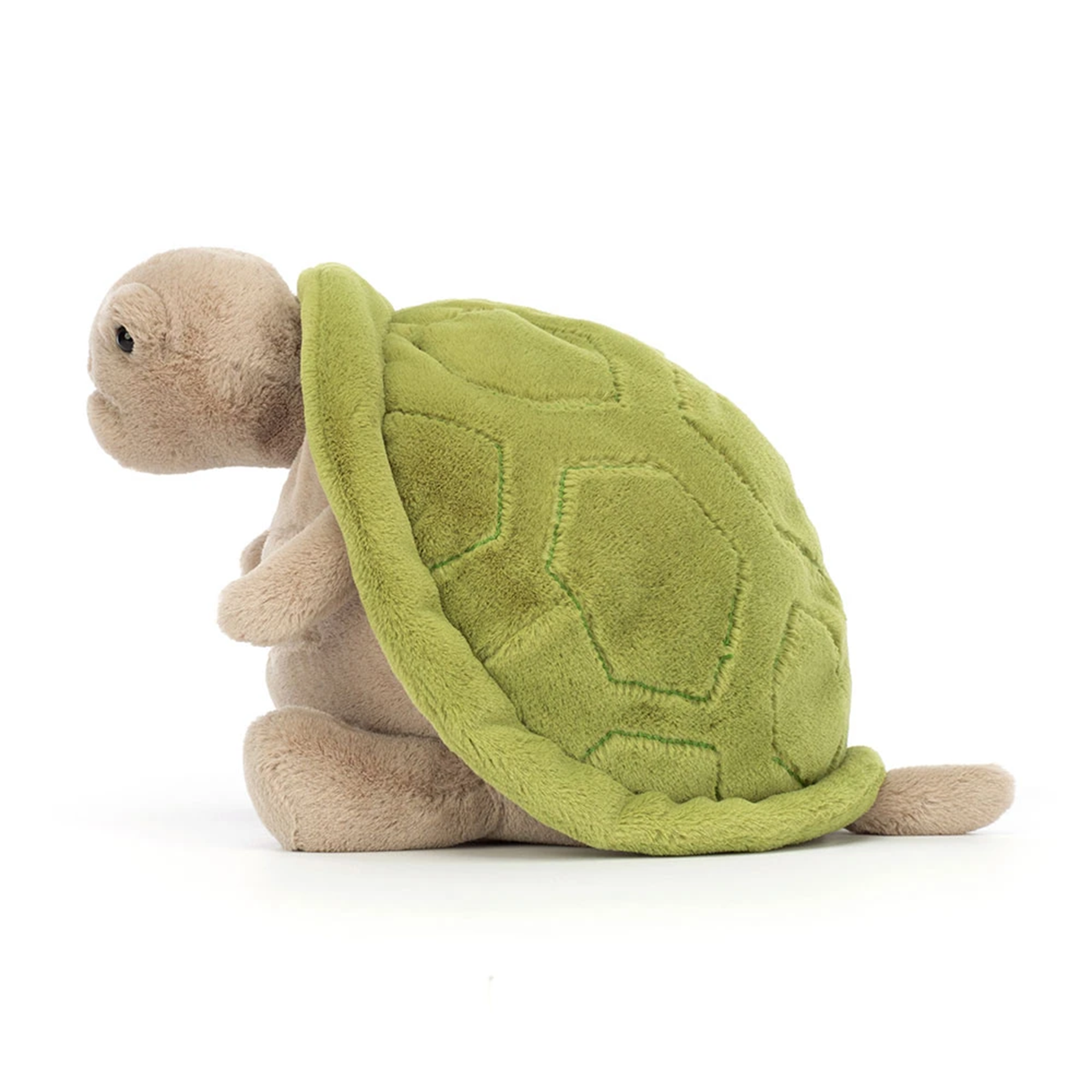 Timmy Turtle | JELLYCAT