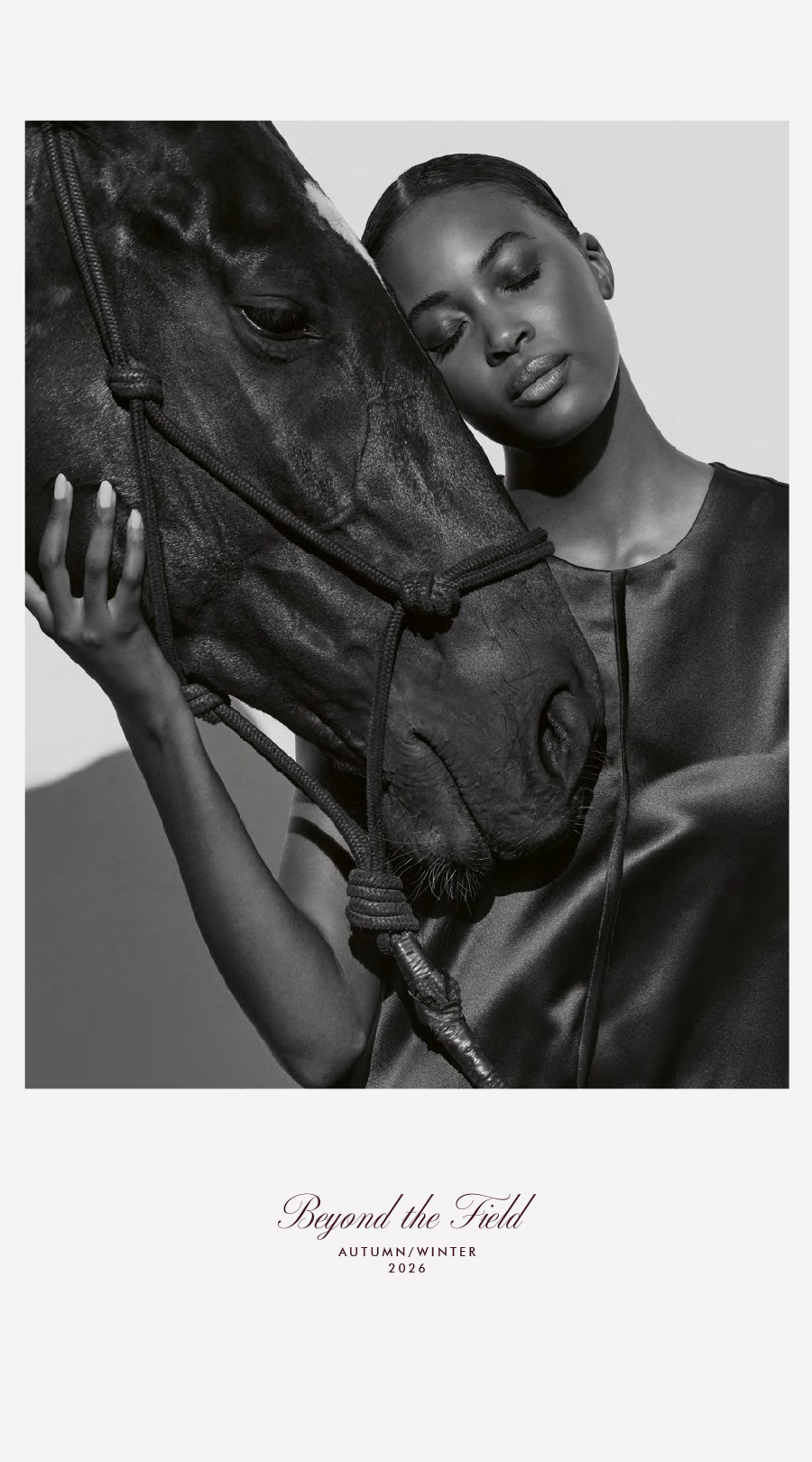 horse, equestrian, schwarz-weiß, seide, fashion
