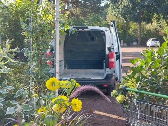 Posted media