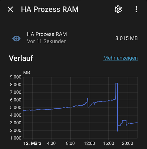 Graph der Speichernutzung, die einen plötzlichen Peak auf über 8 GB zeigt. 